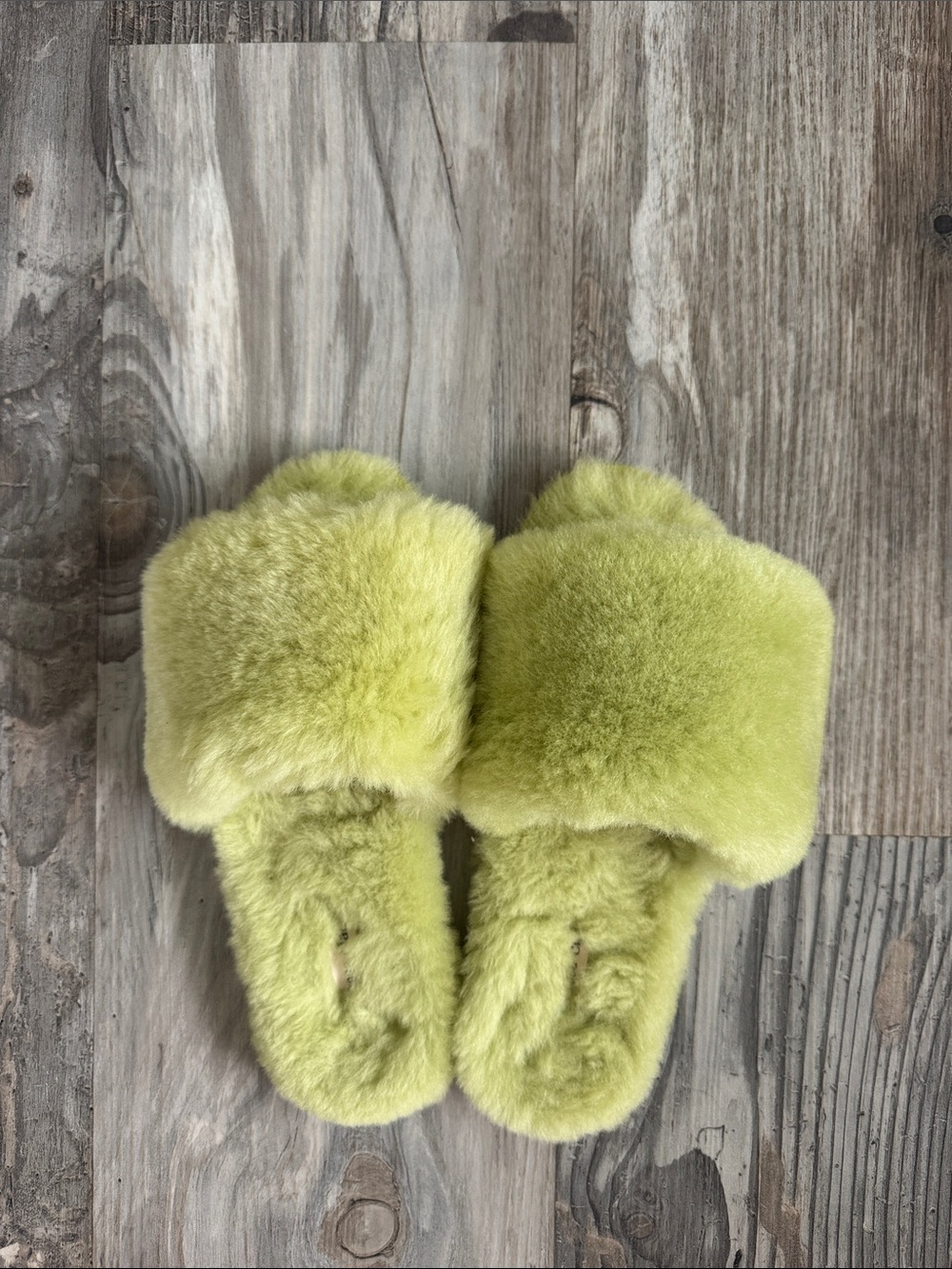 Casa Clara Fuzzy House Slides